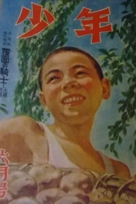 Cover of Volume #194806