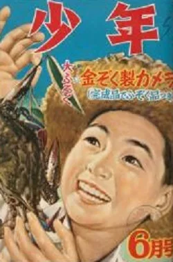 Cover of Volume #195306