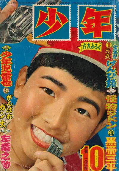 Cover of Volume #195610