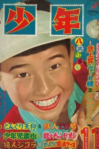 Issue #195611
