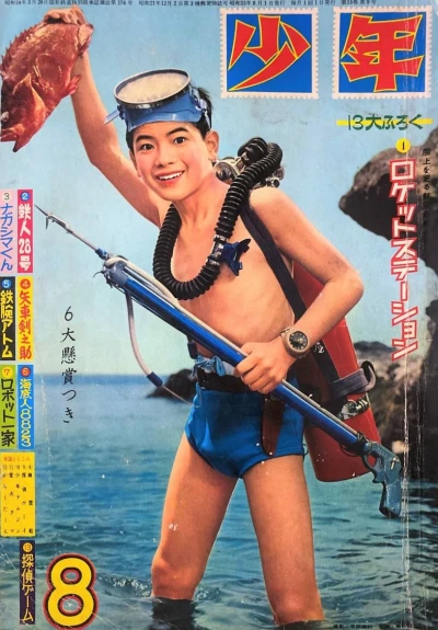 Cover of Volume #196008