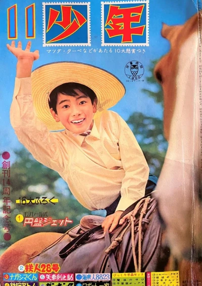 Cover of Volume #196011