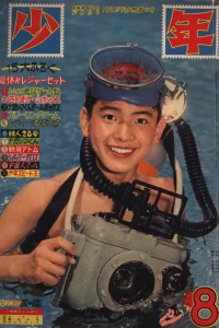 Issue #196108