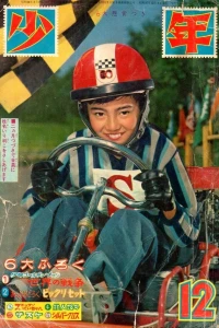 Issue #196212