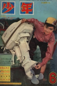 Issue #196306