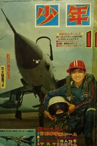 Issue #196311