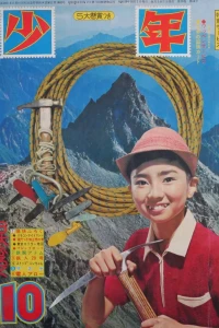 Issue #196410