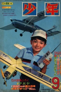 Issue #196509