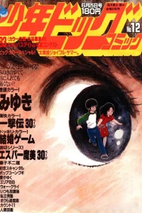 No. 12, 1982