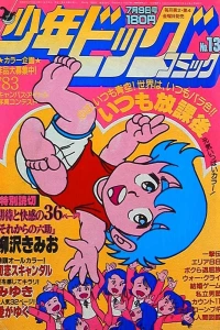 No. 13, 1982