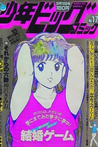 No. 17, 1982