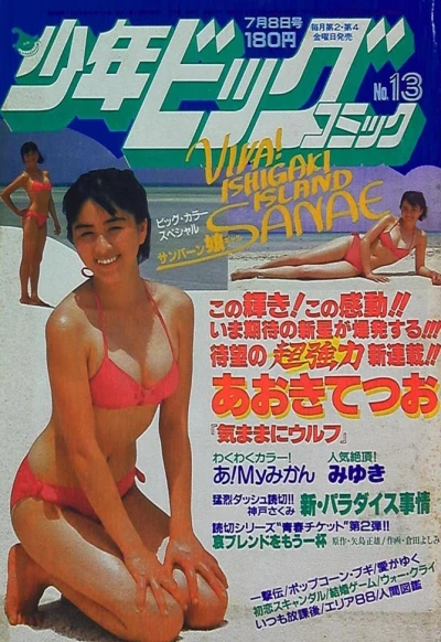 Cover of No. 13, 1983