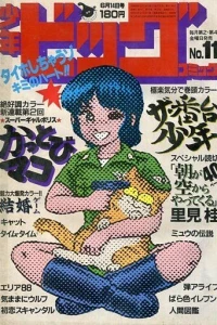 No. 11, 1985