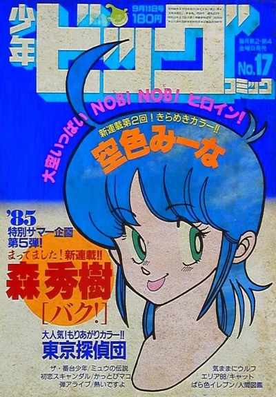 Cover of No. 17, 1985