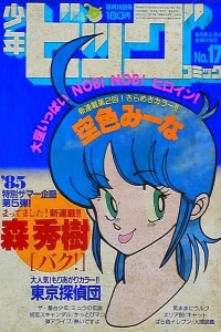 No. 17, 1985