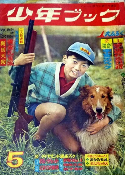 Cover of Volume #196005