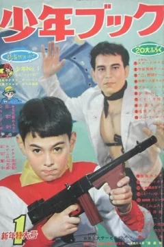 Issue #196101