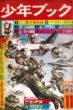 Issue #196311