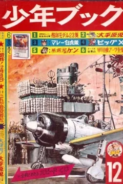 Issue #196312