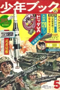 Issue #196405