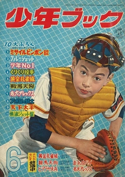 Cover of Volume #196006