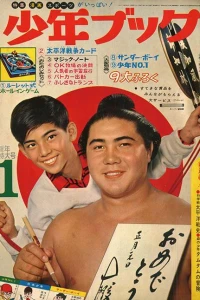 Issue #196301