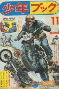 Issue #196411