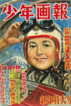 Issue #195301