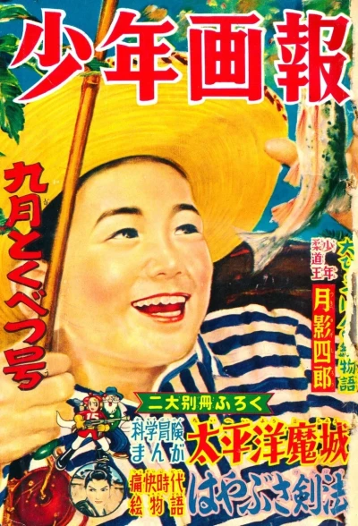 Cover of Issue #195409