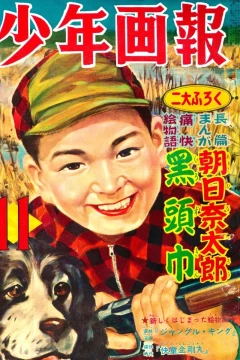 Issue #195411