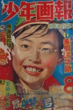 Issue #195508
