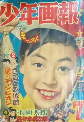 Cover of Issue #195607