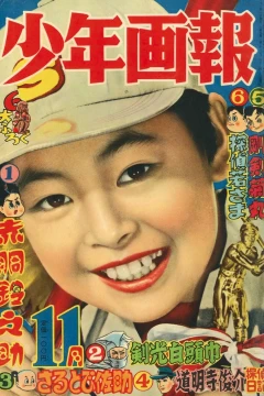 Issue #195611