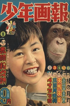 Issue #195709