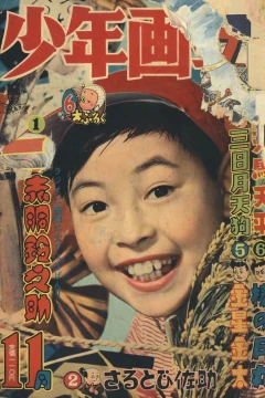 Issue #195711
