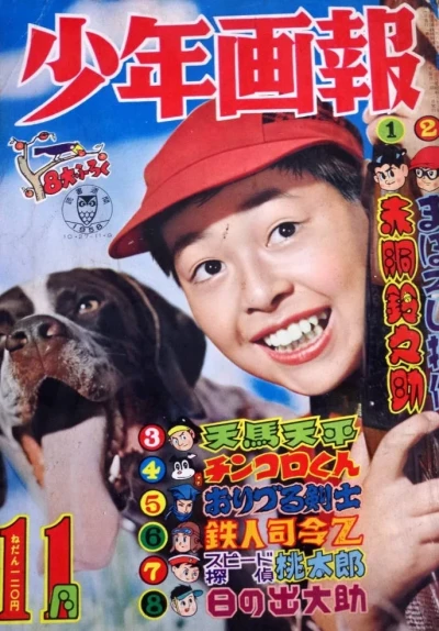 Cover of Issue #195811