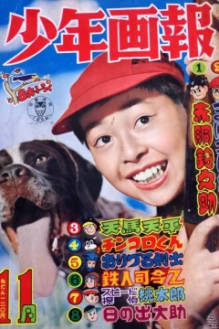 Issue #195811