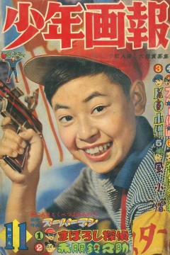 Issue #195911