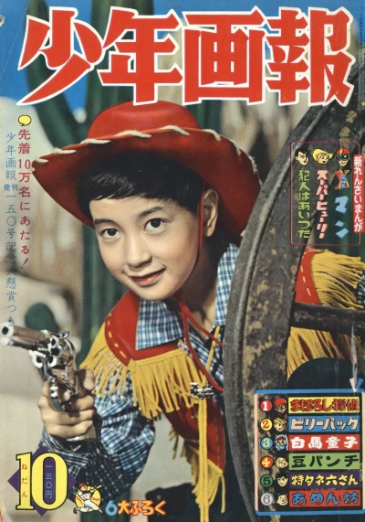 Cover of Issue #196010