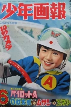 Issue #196206
