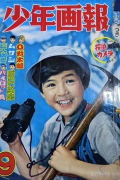 Issue #196209