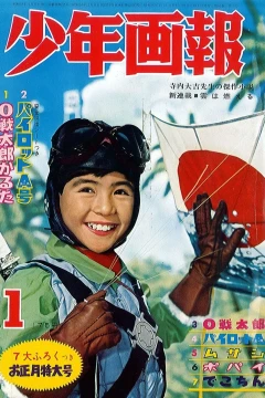 Issue #196301