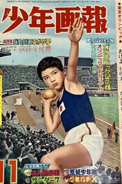 Issue #196411