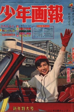 Issue #196501
