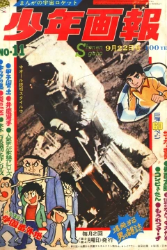 Issue #196911