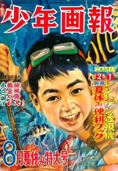 Cover of Issue #195208