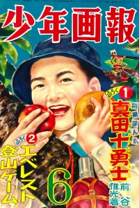 Issue #195406