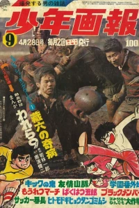 Issue #197009