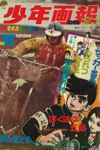 Issue #197010
