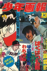 Issue #197013